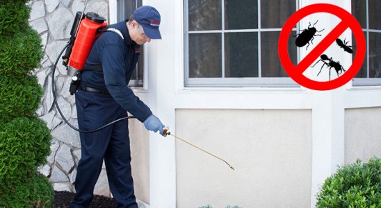 Harmandalı Haşere İlaçlama böcek ilaçlama ve haşere kontrolü — ilaclama-tr.com